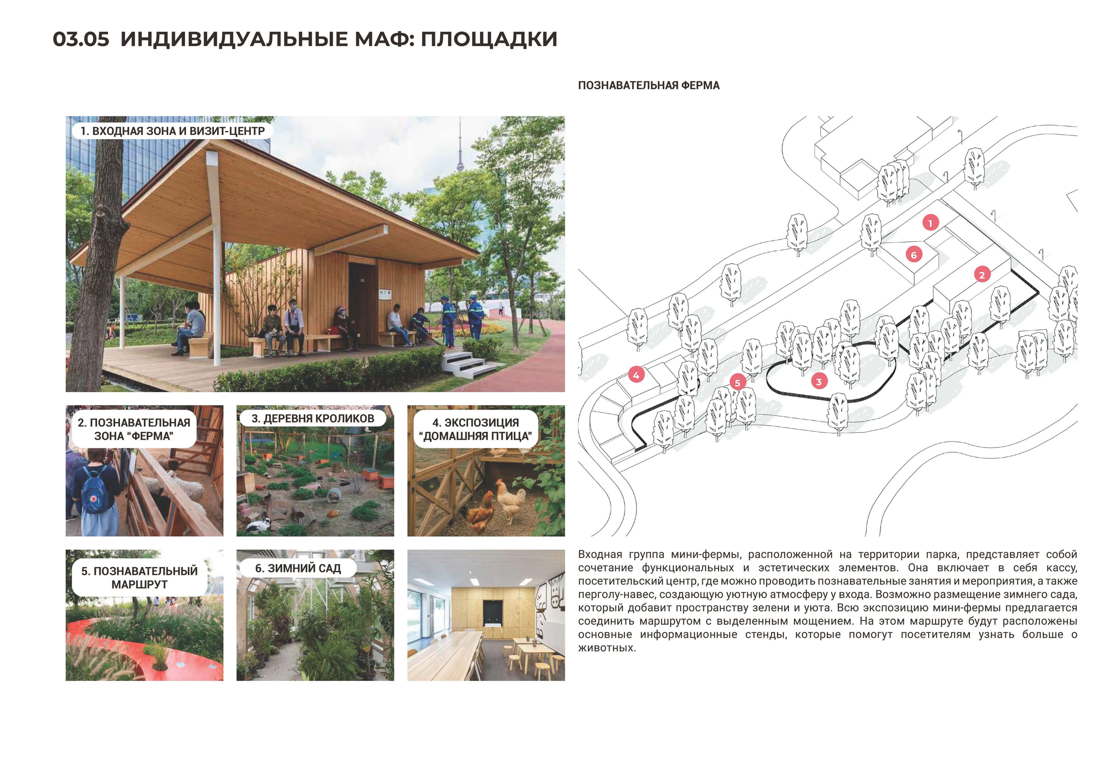 Индивидуальные МАФ: познавательная ферма